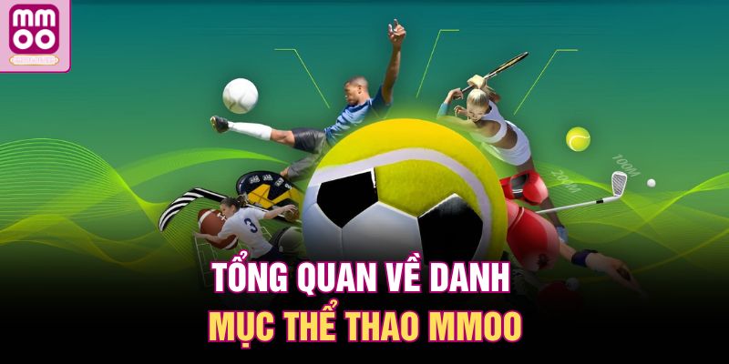 Thể Thao MMOO | Đặt Cược Thông Minh, Giải Trí Trọn Vẹn 1 Tổng quan về danh mục thể thao MMOO